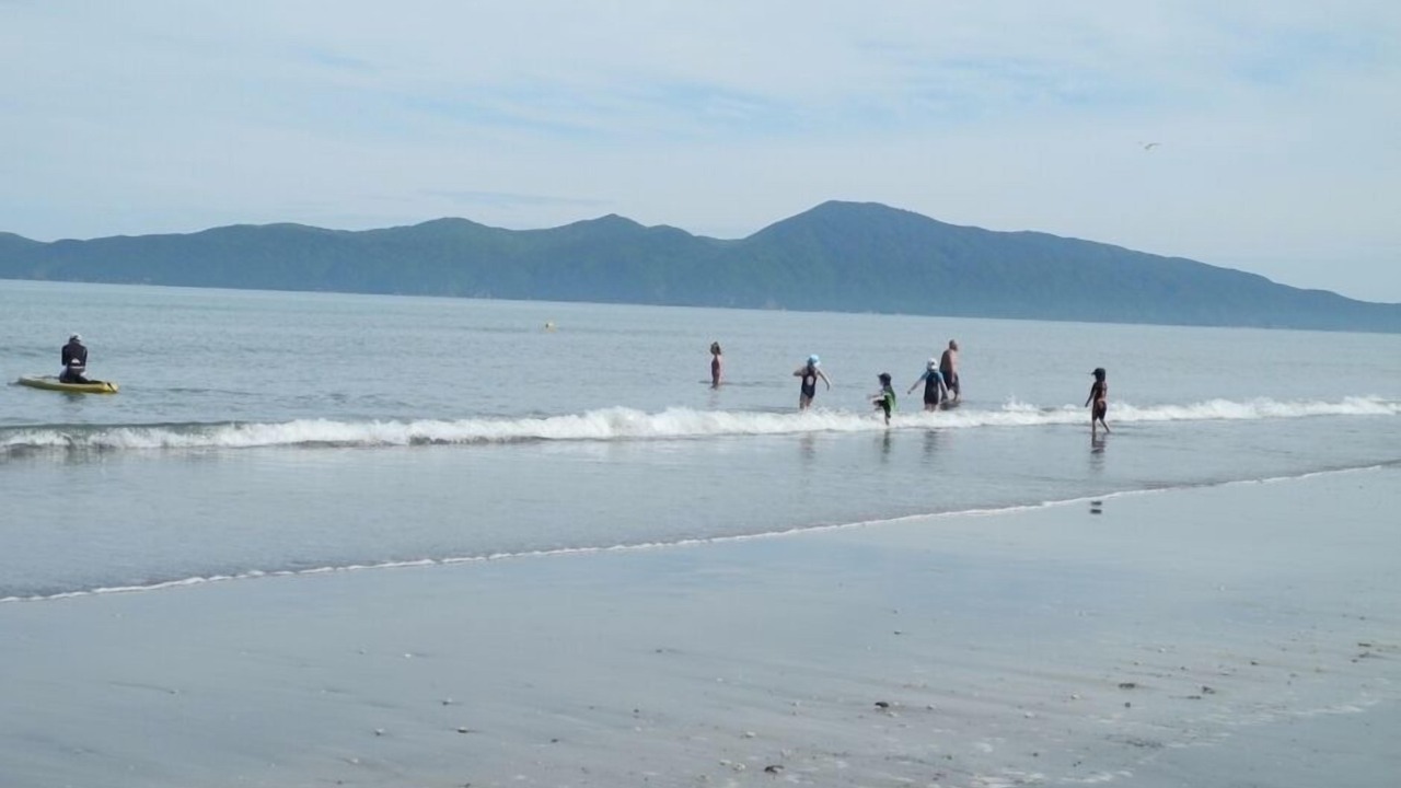 Photo of Others in Raumati South