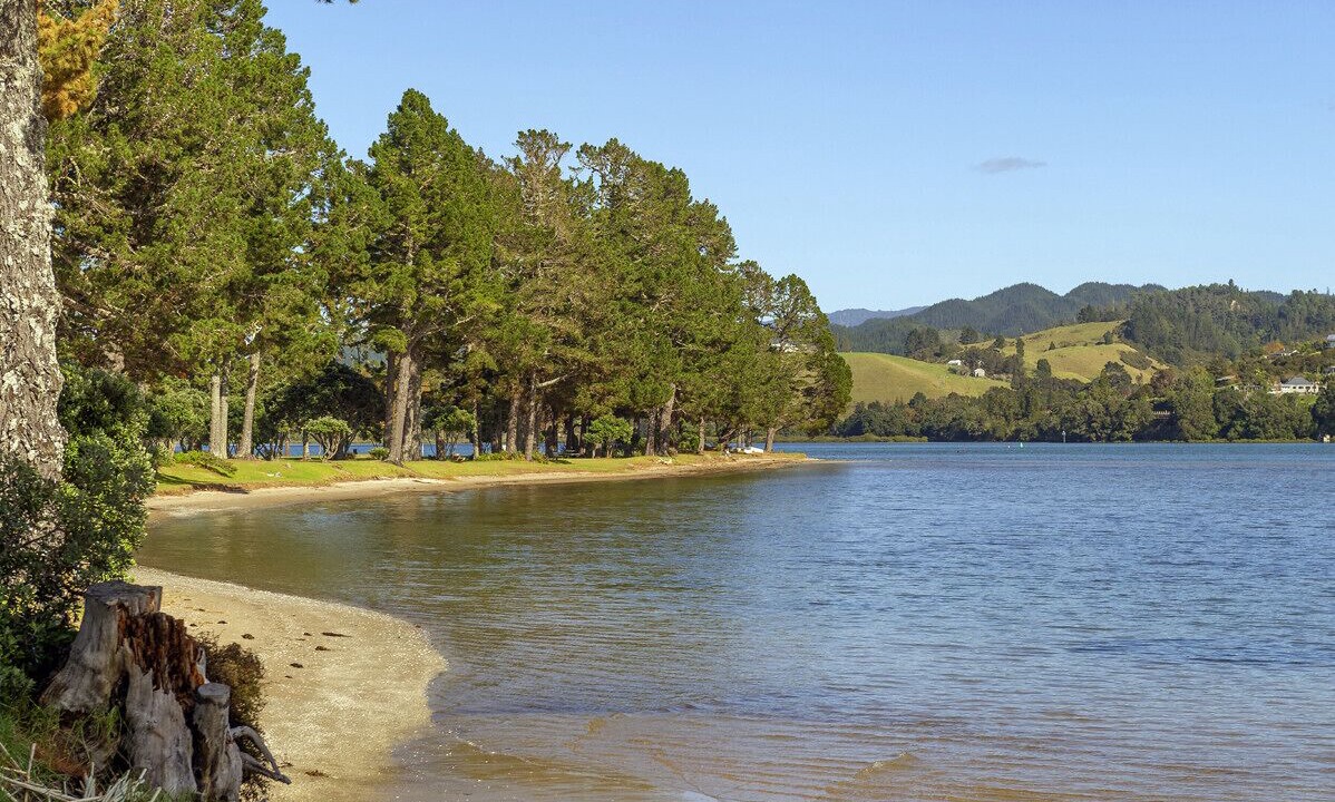 Photo of Others in Pauanui