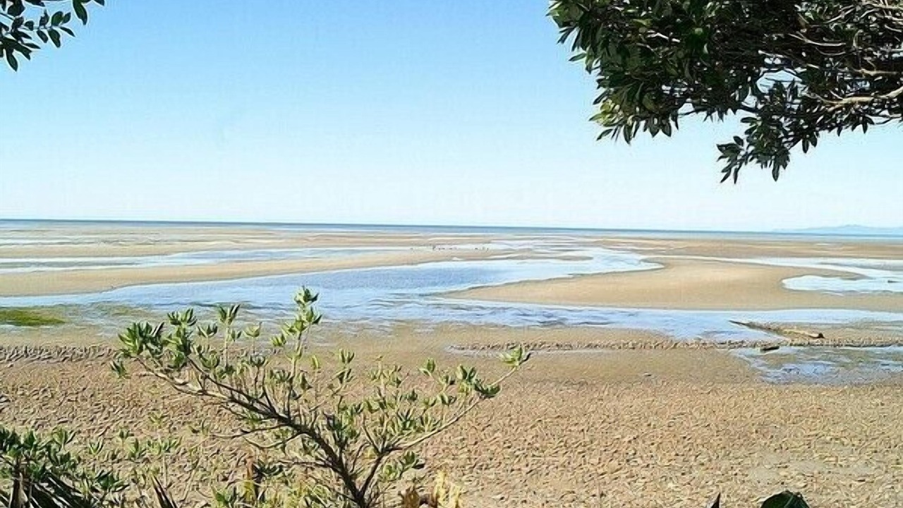 Photo of Others in Pakawau