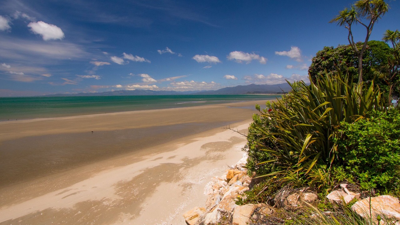 Photo of Others in Pakawau