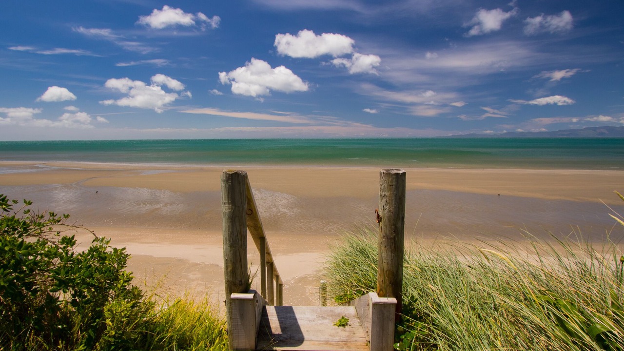 Photo of Others in Pakawau