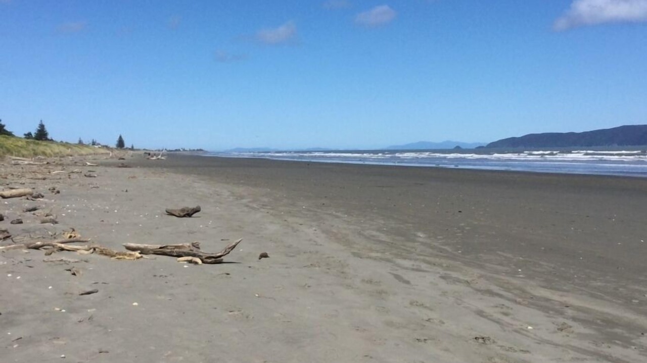 Photo of Others in Waikanae