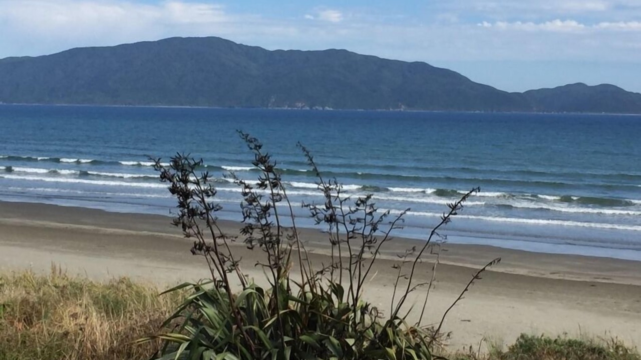 Photo of Others in Waikanae