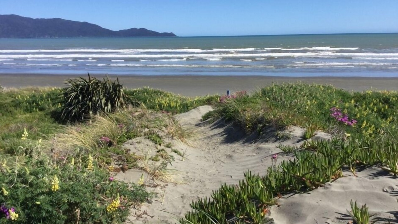 Photo of Others in Waikanae
