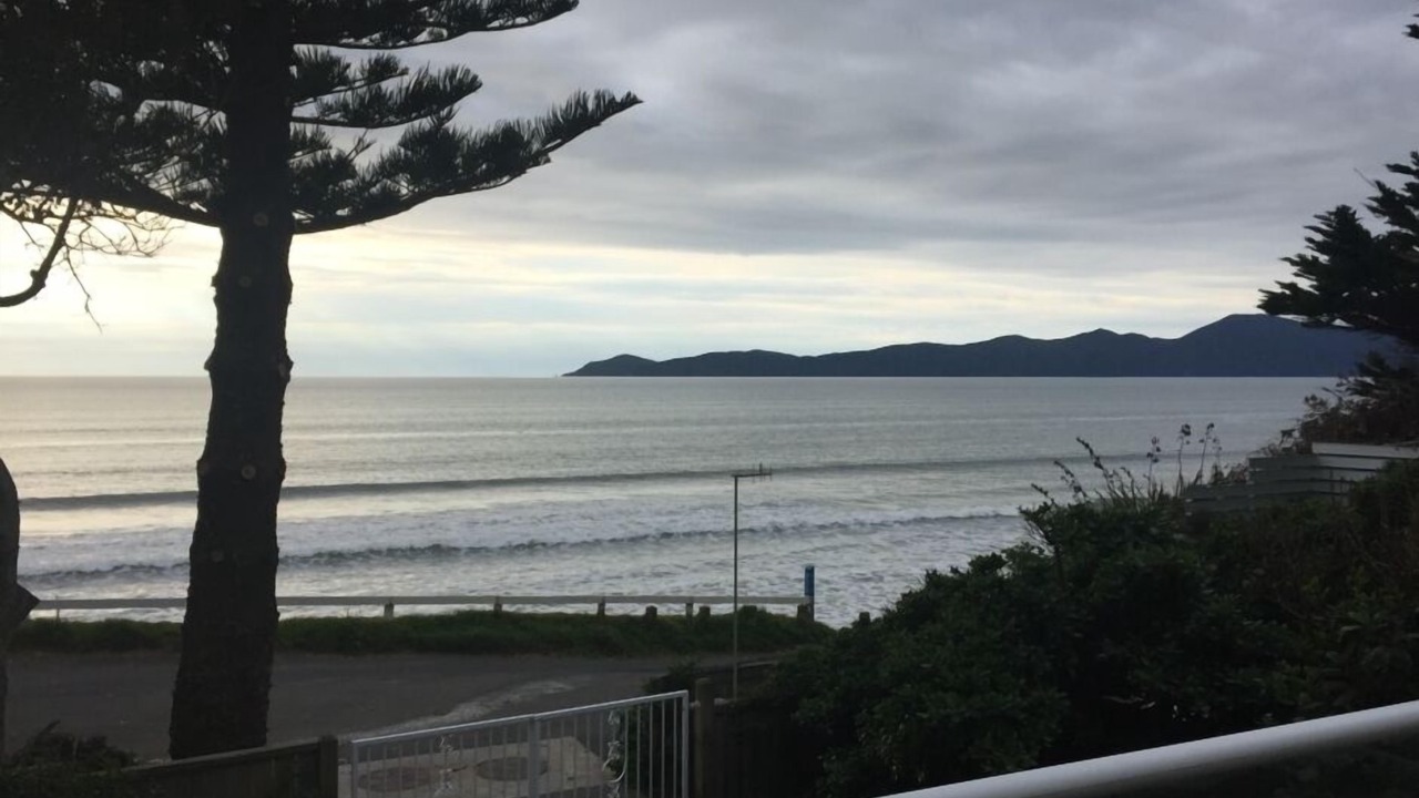 Photo of Others in Raumati South