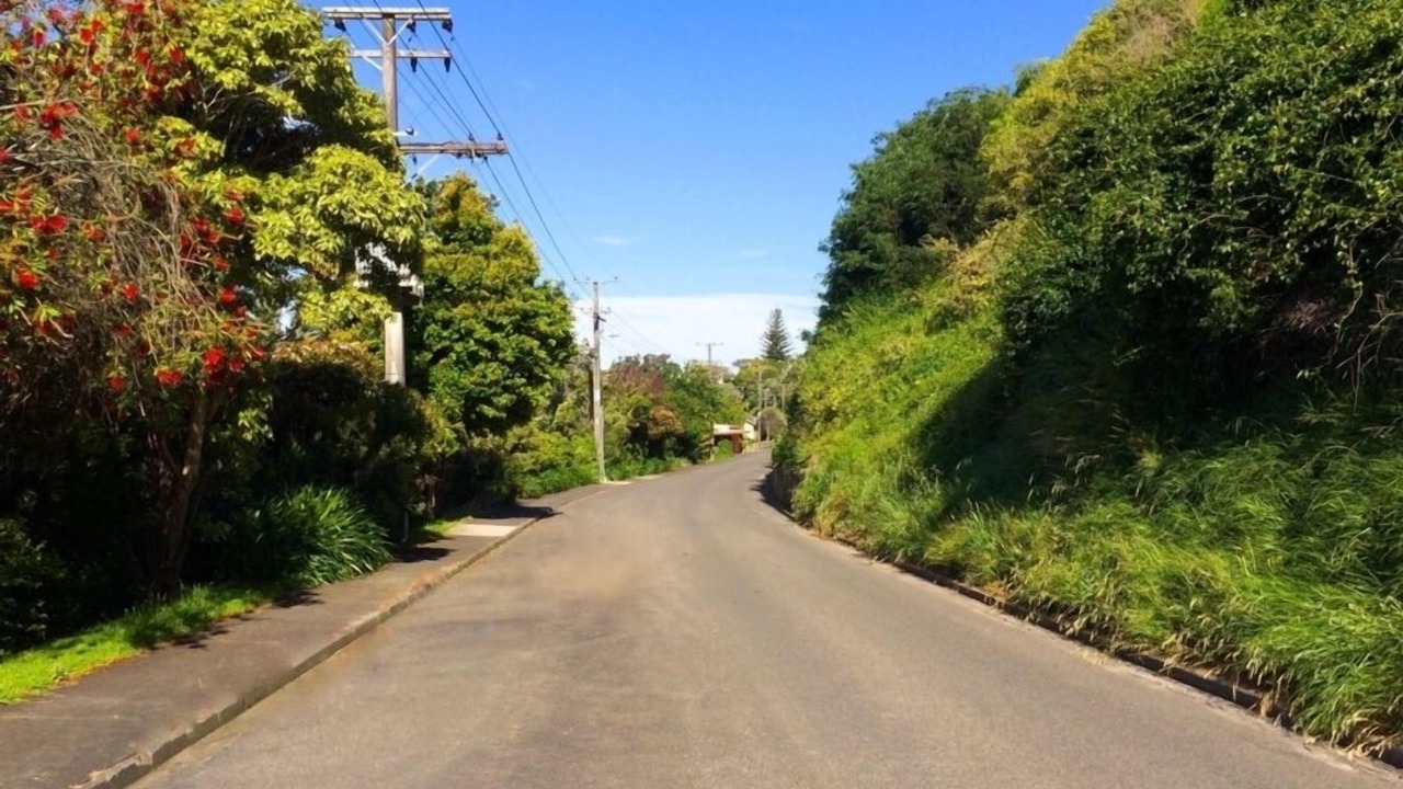 Photo of Others in Whanganui