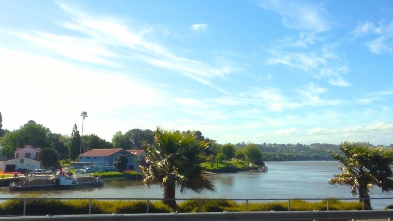 Photo of Others in Whanganui