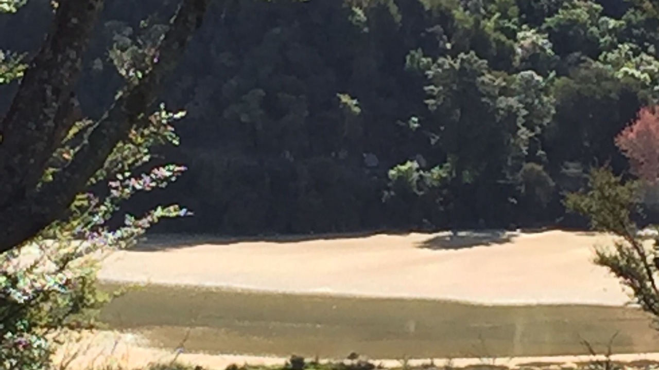 Photo of Others in Kaiteriteri