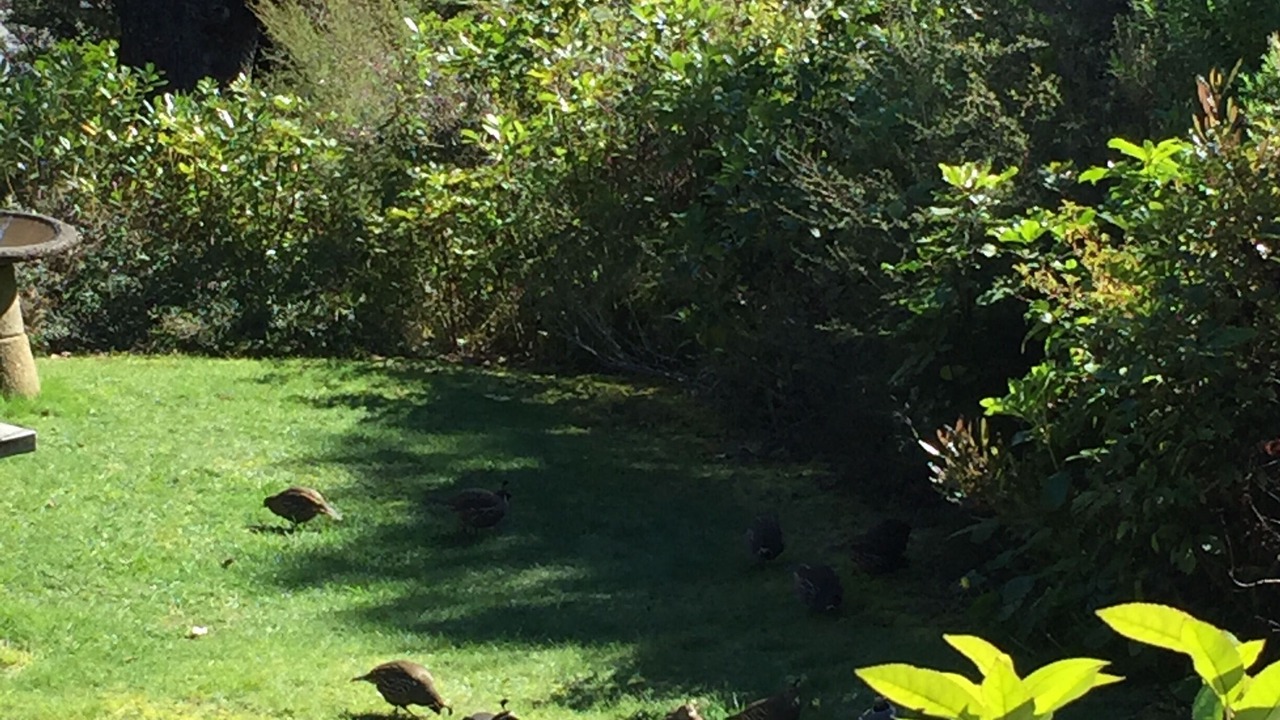 Photo of Others in Kaiteriteri