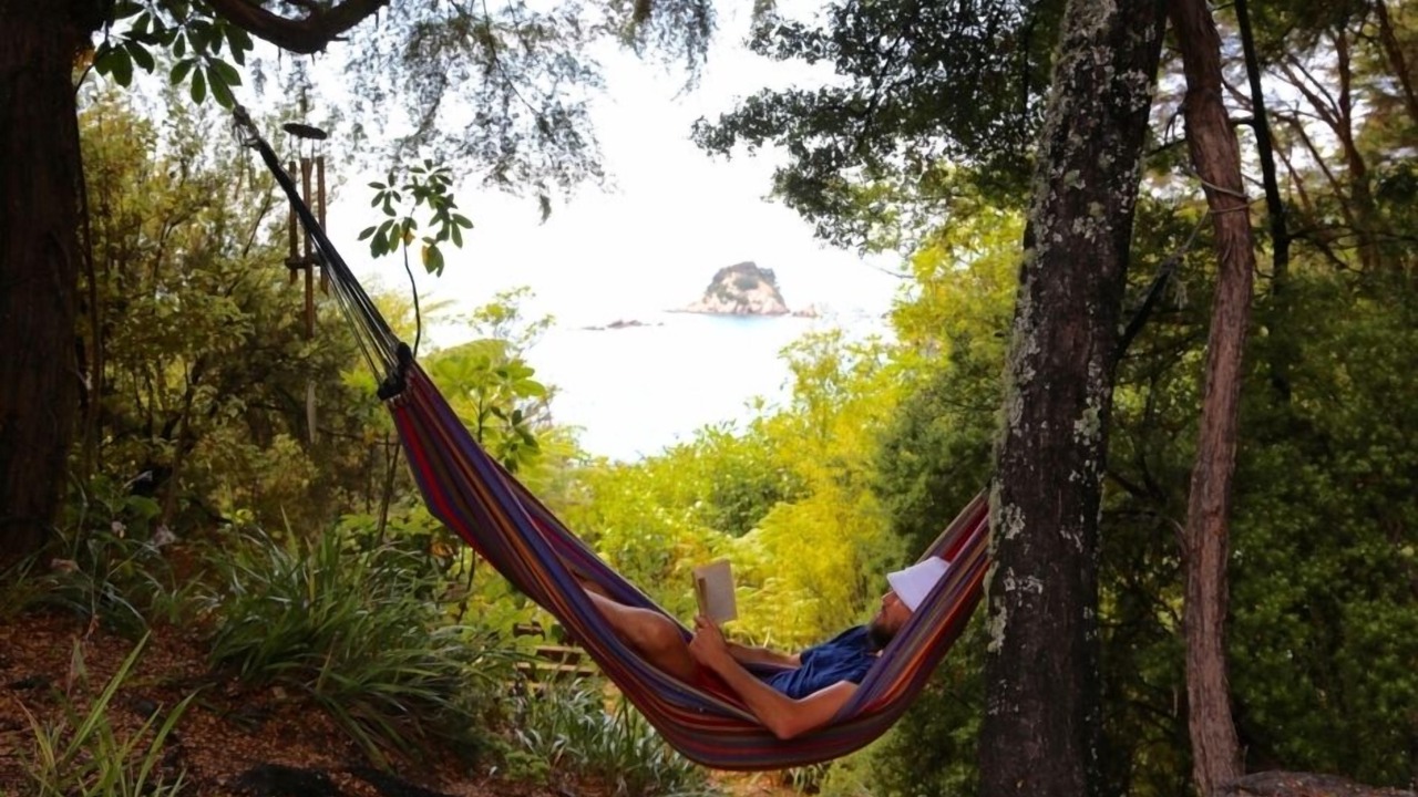 Photo of Outdoor in Kaiteriteri
