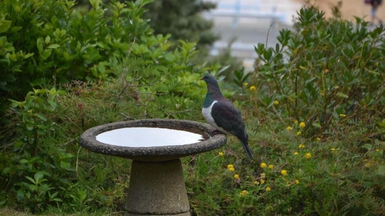 Photo of Others in Kaiteriteri