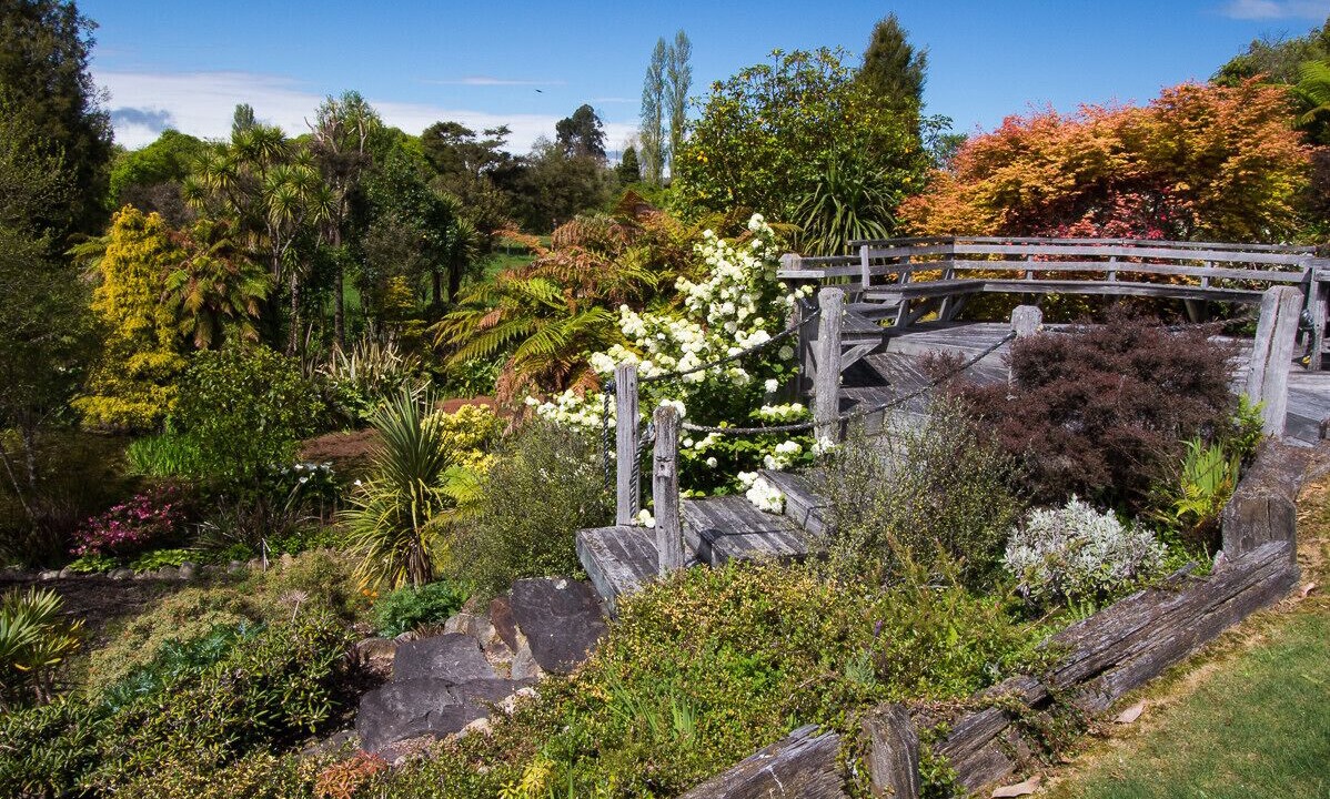 Photo of Outdoor in Marahau