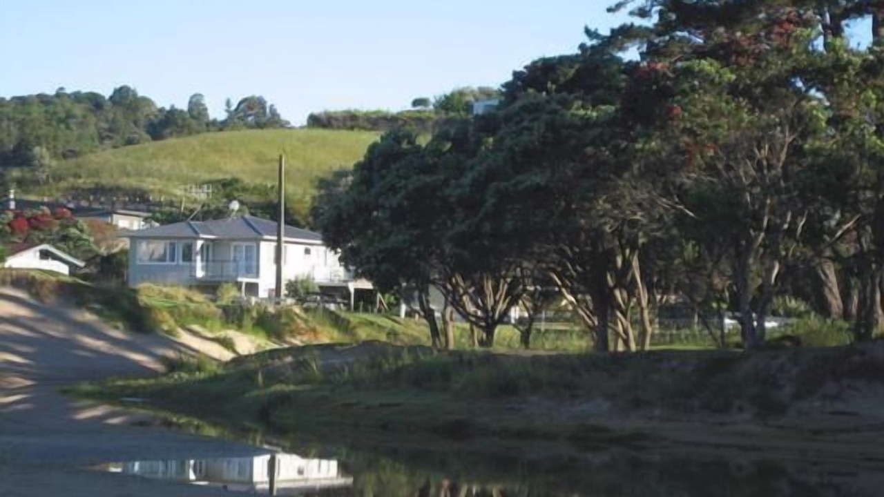 Photo of Others in Tutukaka