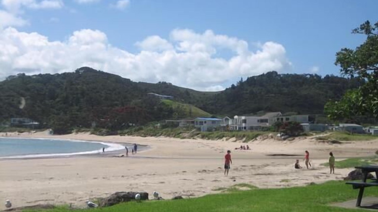 Photo of Others in Tutukaka