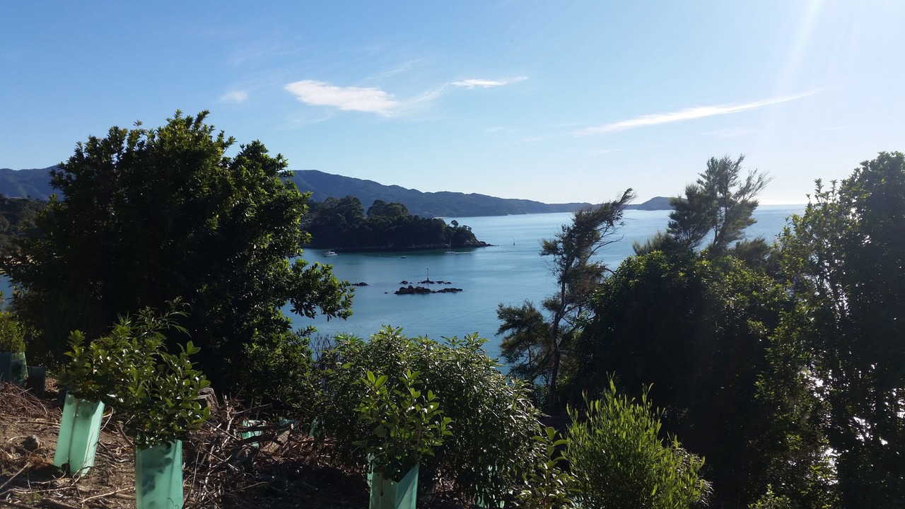Photo of Others in Kaiteriteri