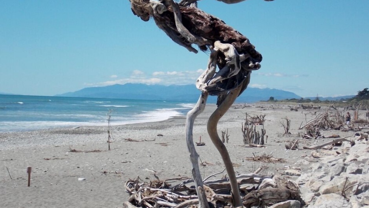 Photo of Others in Hokitika