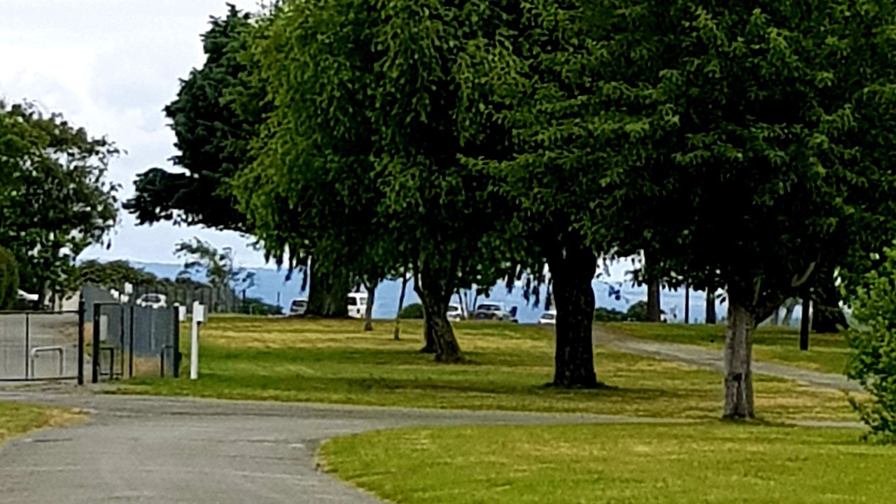 Photo of Others in Tahunanui