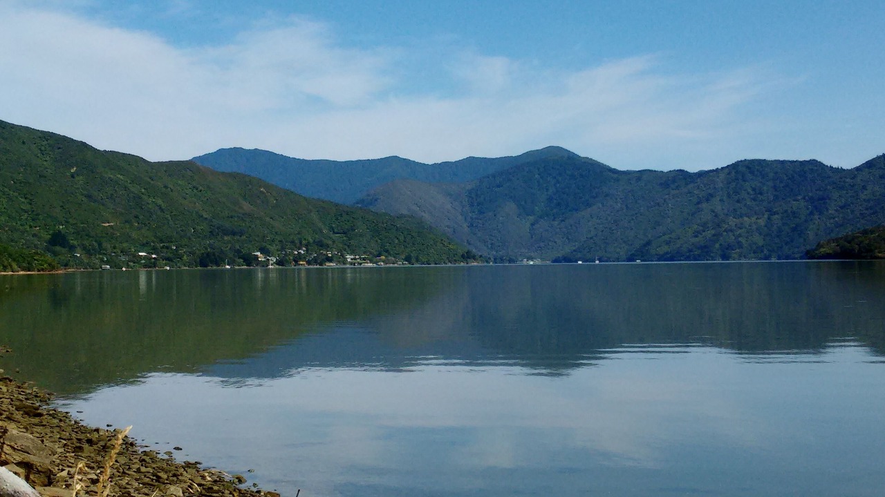 Photo of Others in Havelock