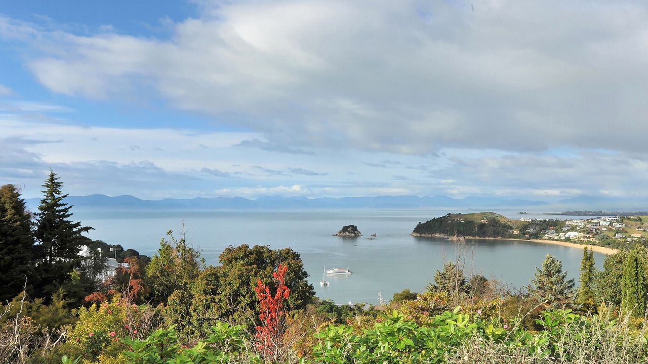 Photo of Others in Ngaio Bay