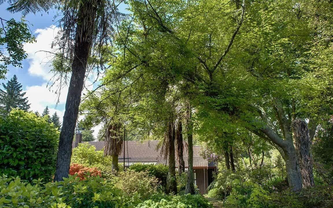 Photo of Outdoor in Springfield