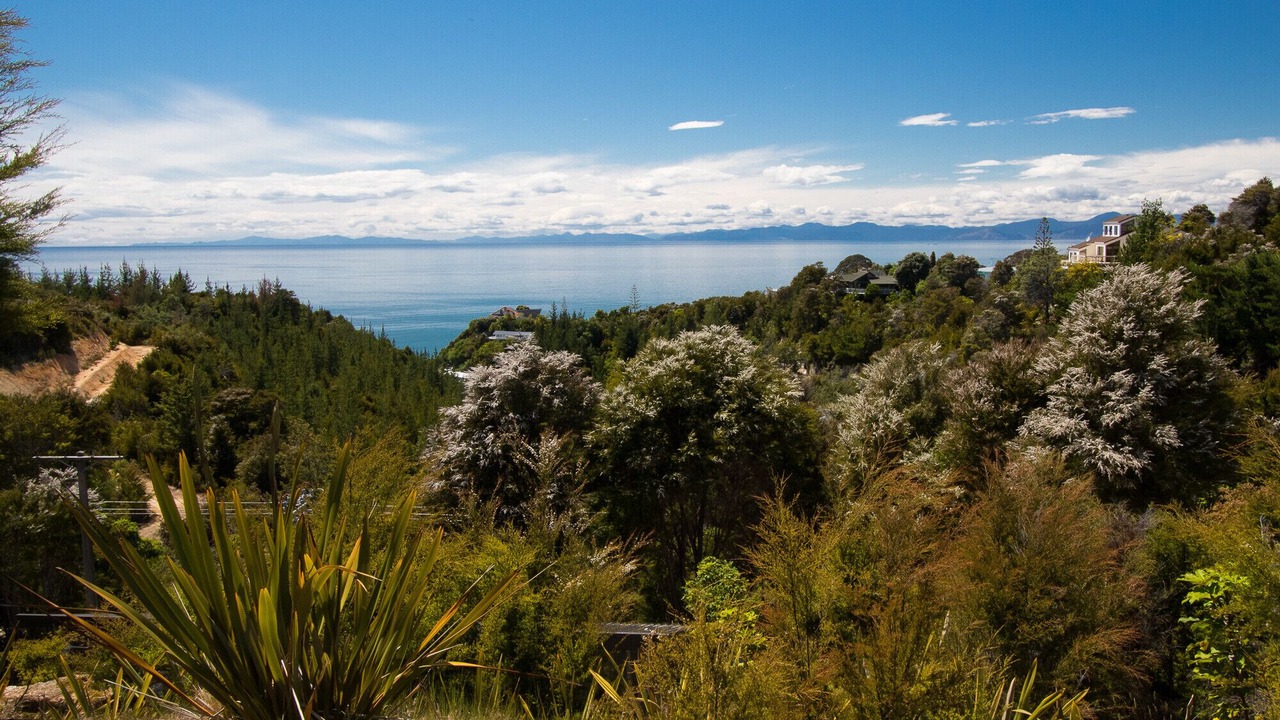 Photo of Outdoor in Ngaio Bay
