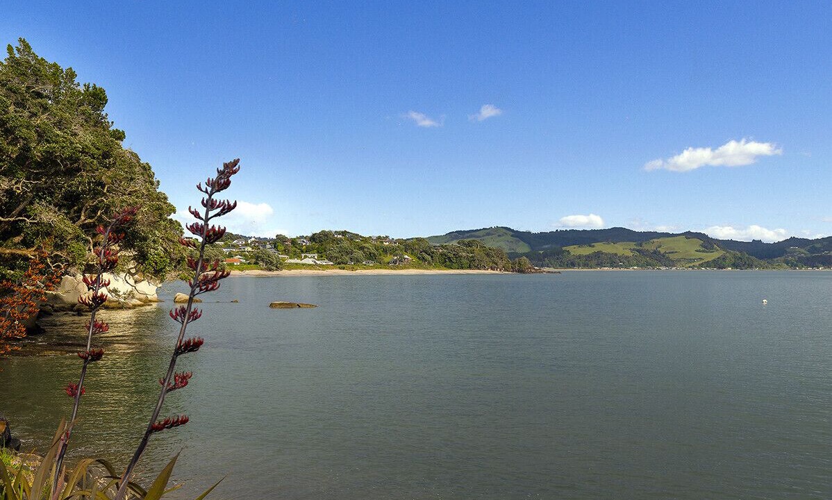 Photo of Others in Cooks Beach