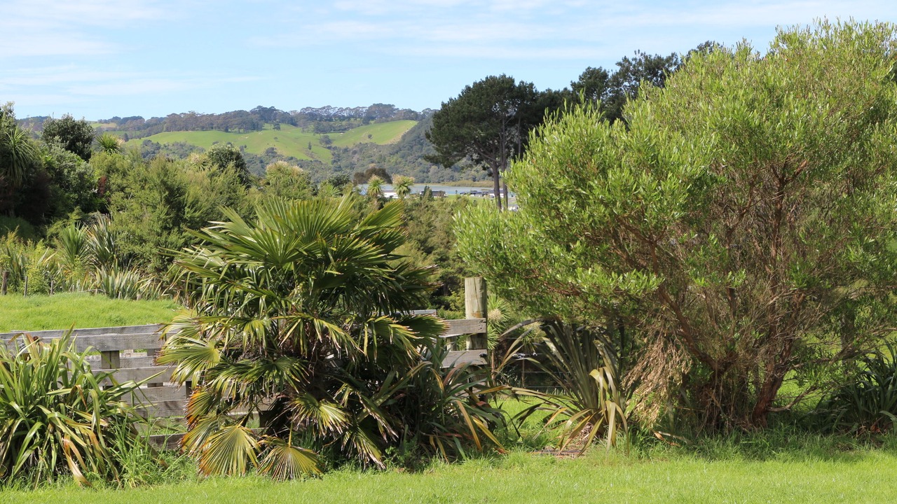 Photo of Outdoor in Cooks Beach