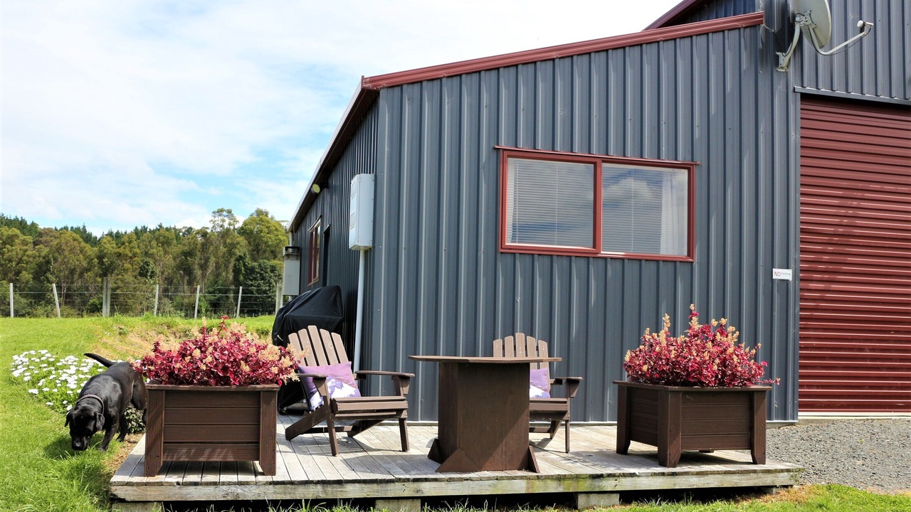 Photo of Outdoor in Cooks Beach