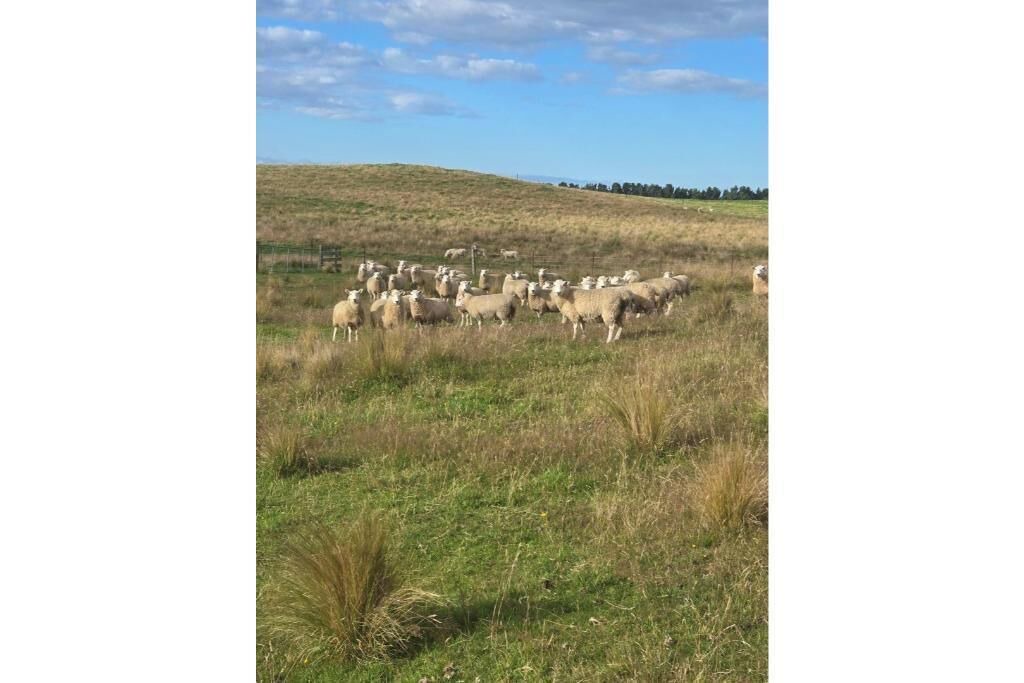 Photo of Others in Danseys Pass