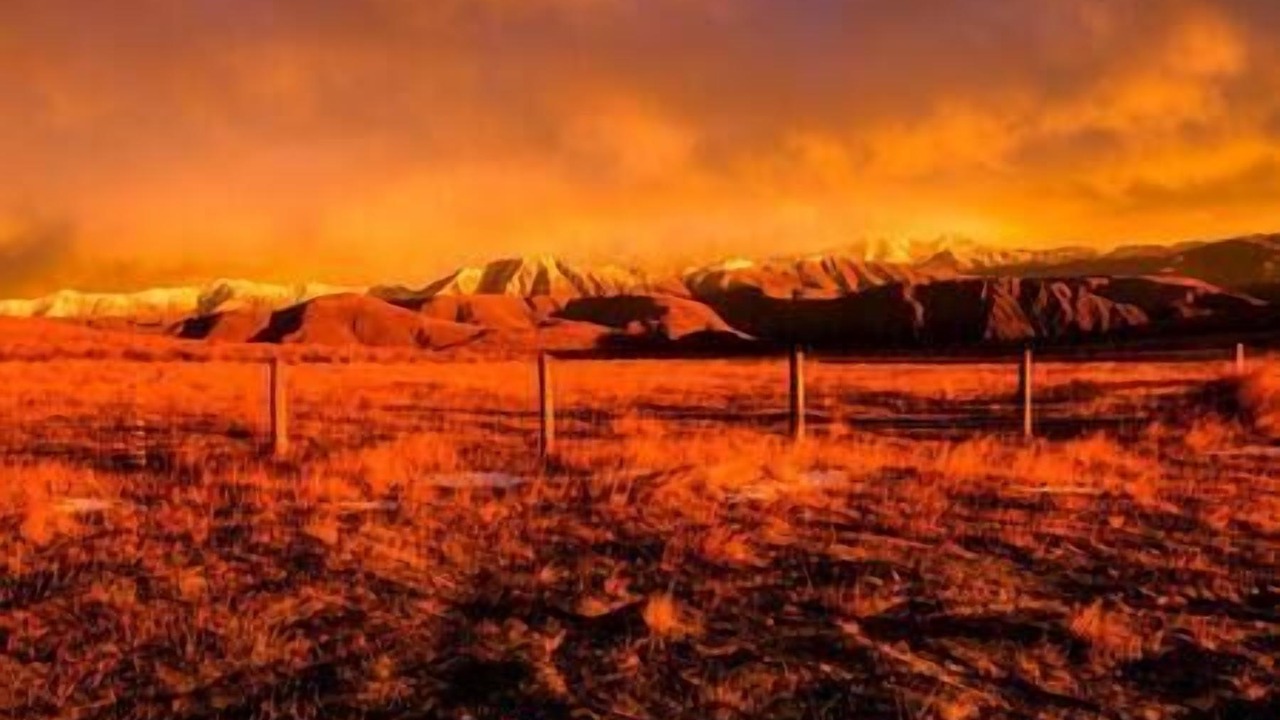 Photo of Others in Danseys Pass
