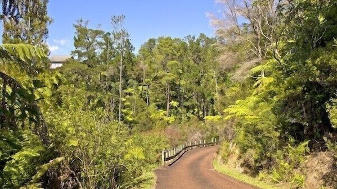 Photo of Outdoor in Tairua