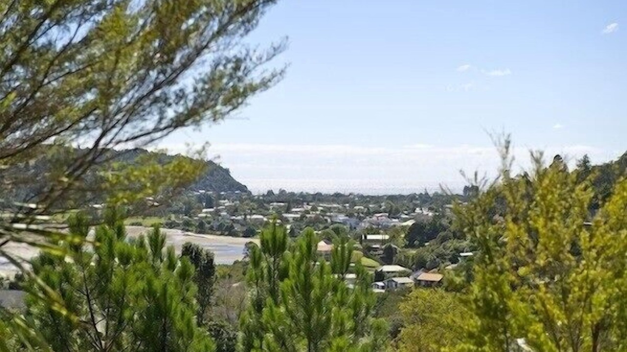 Photo of Others in Tairua