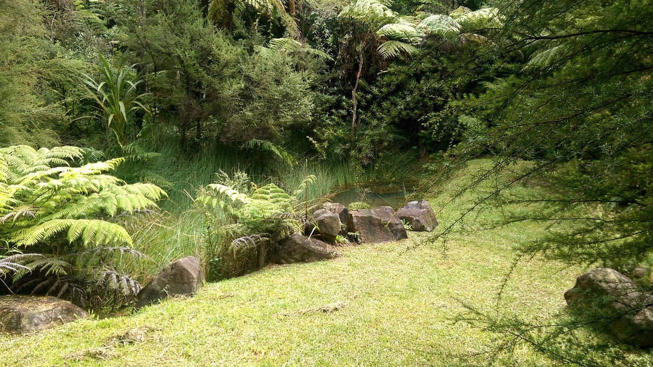 Photo of Outdoor in Tairua