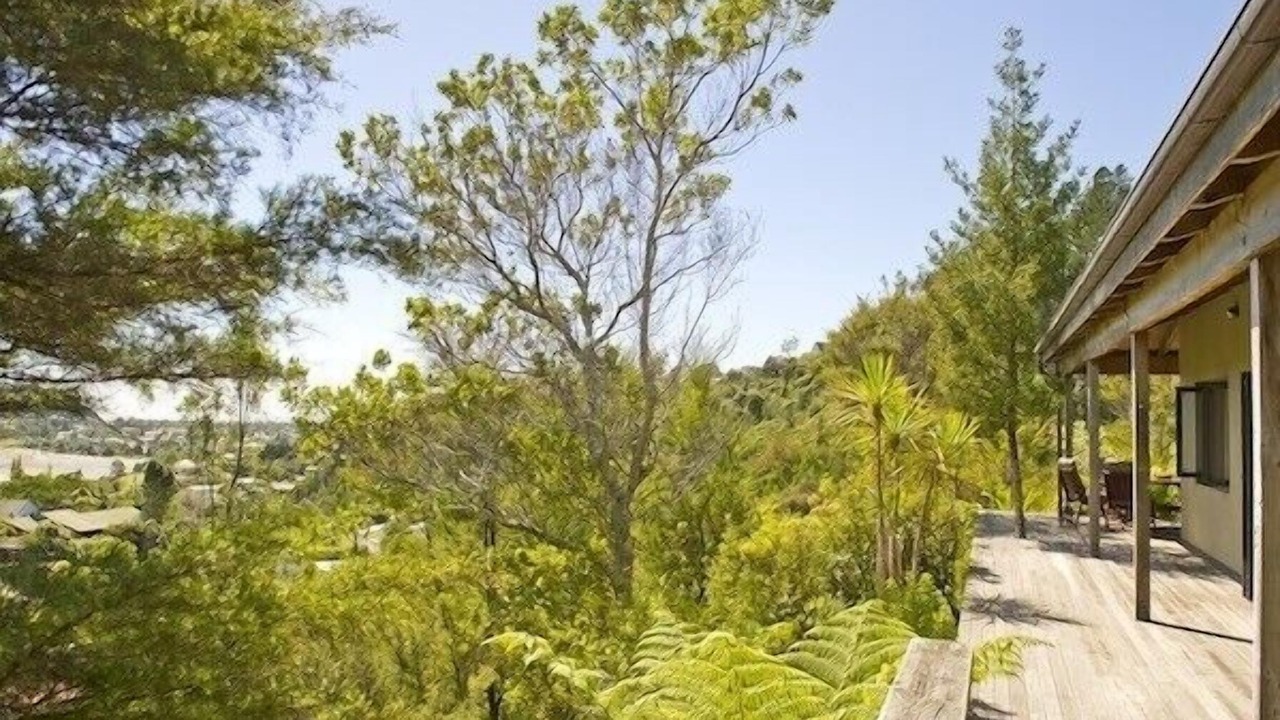 Photo of Others in Tairua