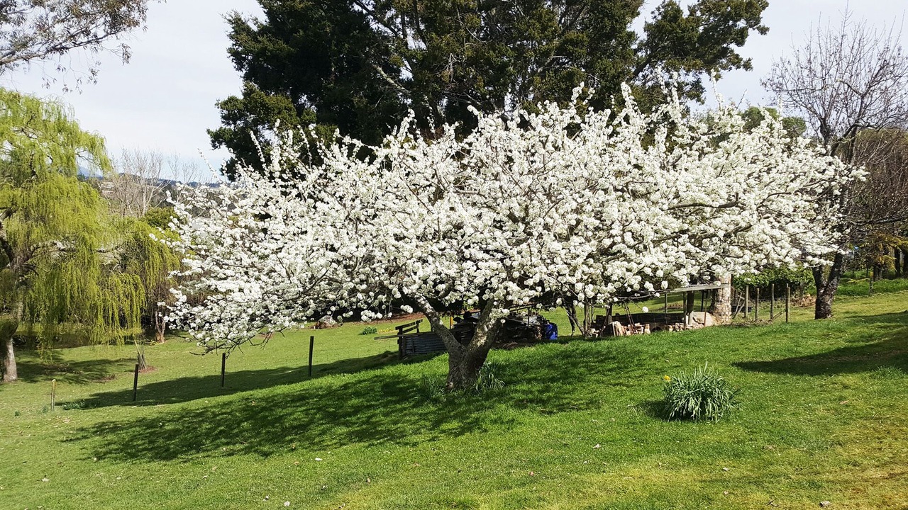 Photo of Outdoor in Bronte
