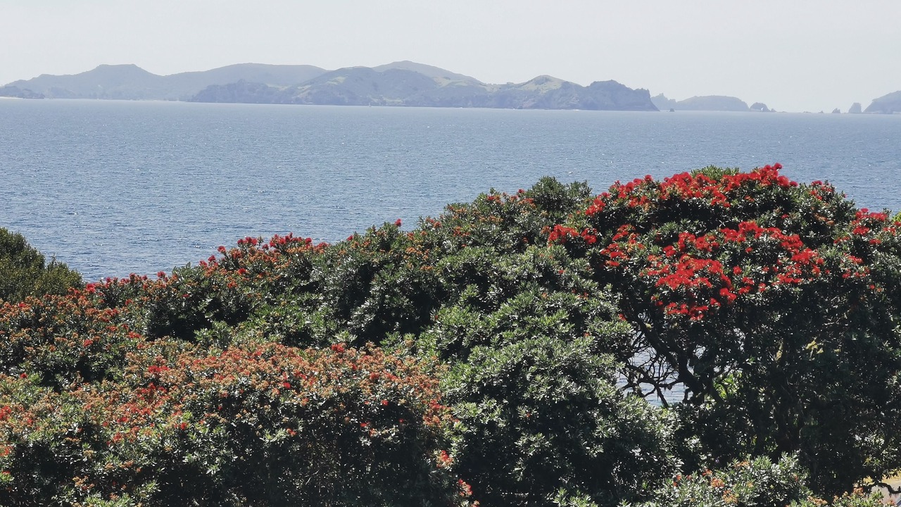Photo of Others in Te Tii