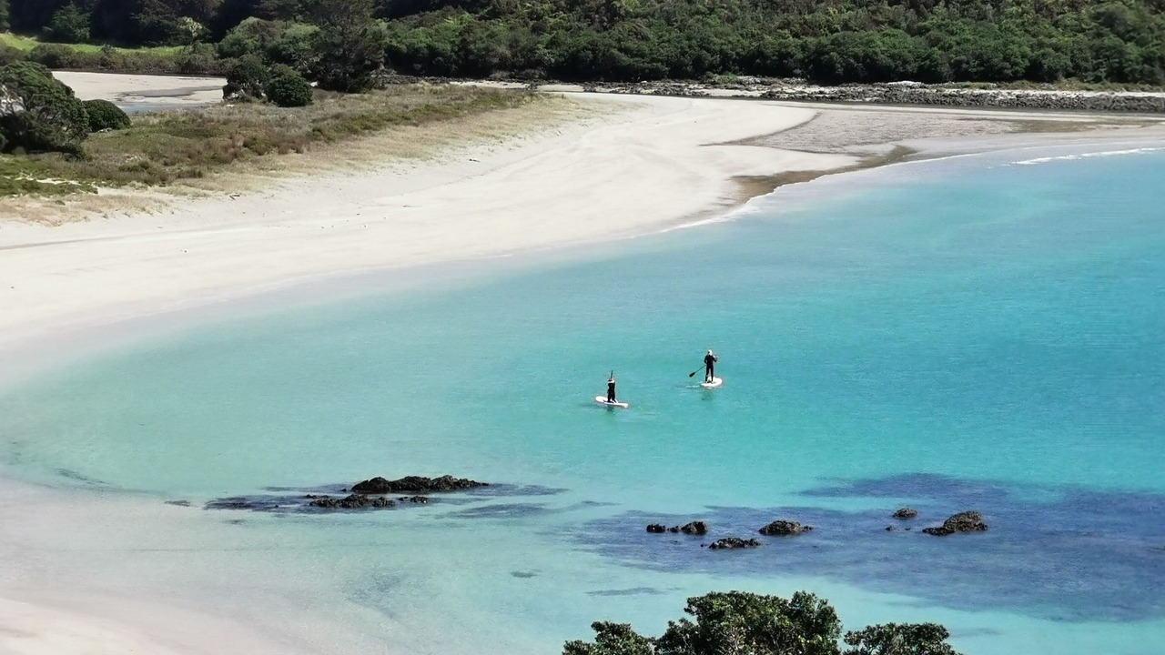 Photo of Others in Te Tii