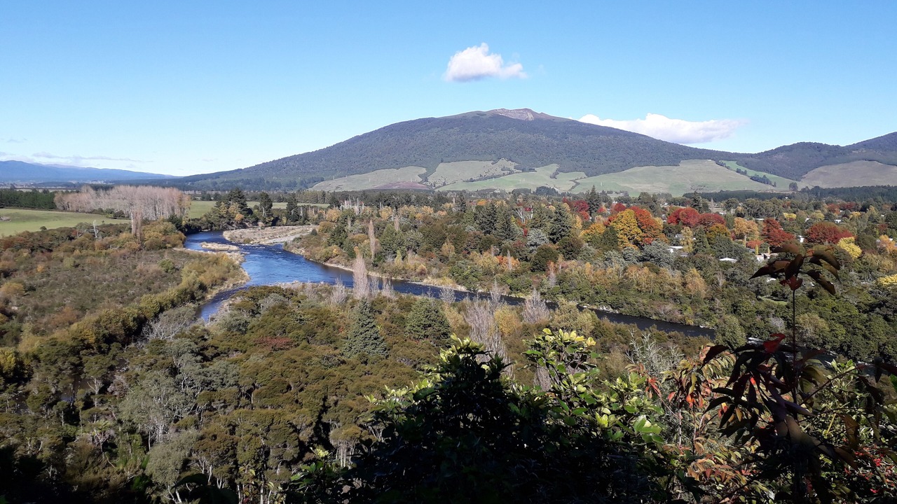 Photo of Others in Turangi