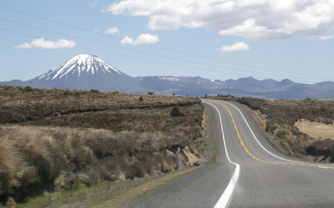 Photo of Others in Turangi
