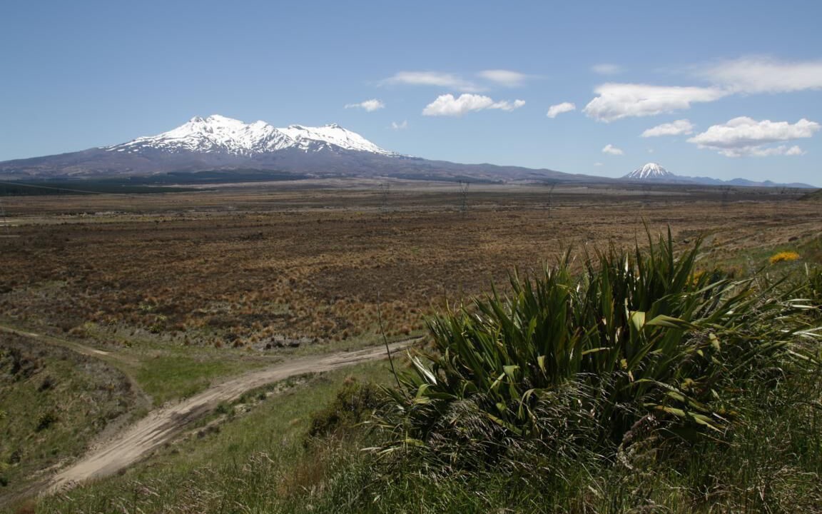 Photo of Outdoor in Turangi