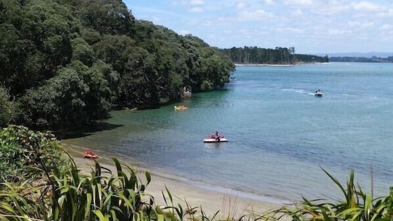 Photo of Others in Waihi Beach