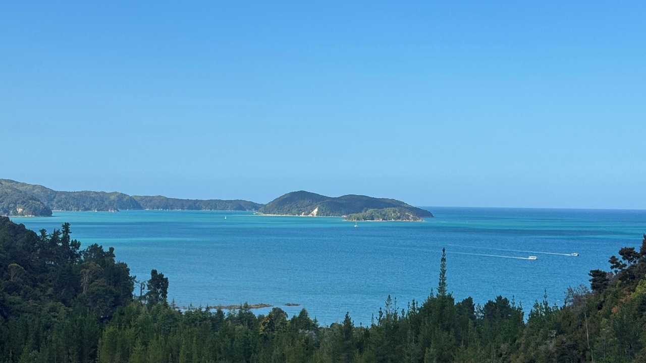 Photo of Others in Ngaio Bay