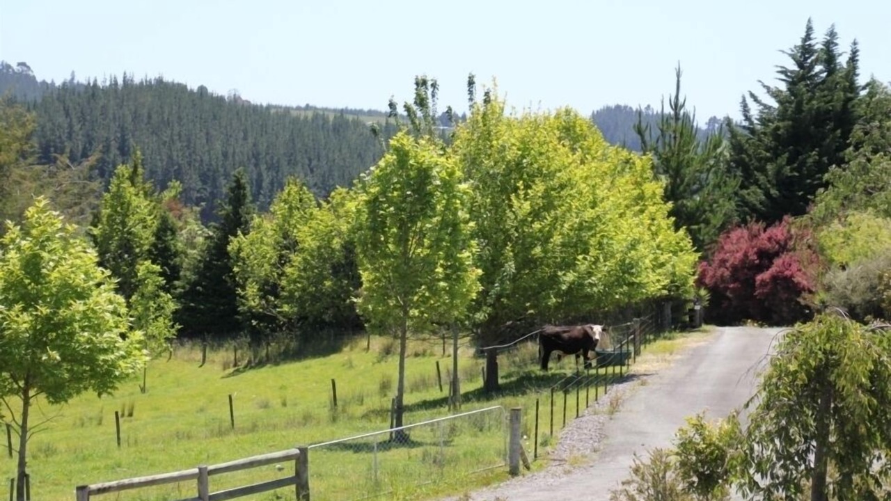 Photo of Others in Redwood Valley