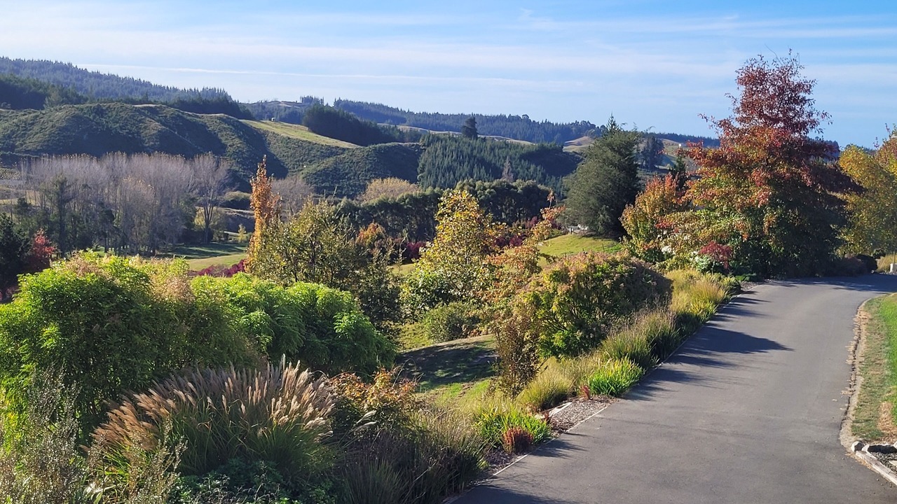 Photo of Outdoor in Redwood Valley