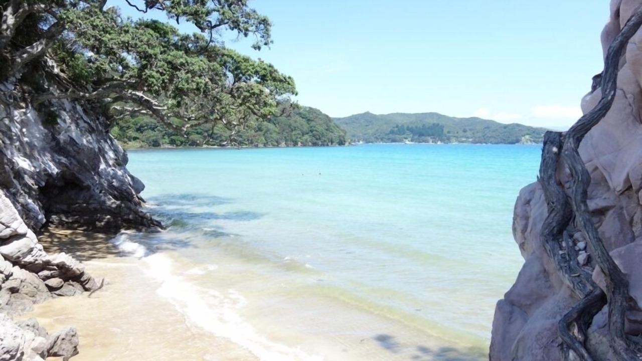 Photo of Others in Great Barrier Island