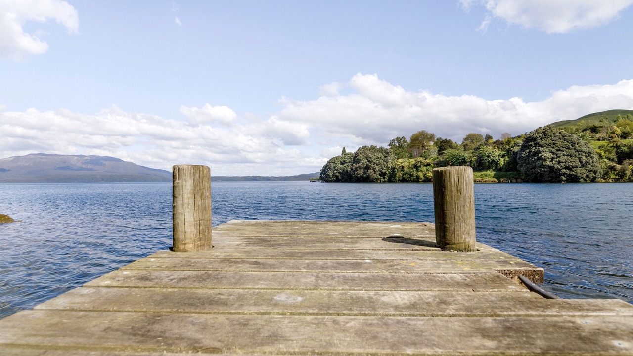 Photo of Others in Lake Tarawera