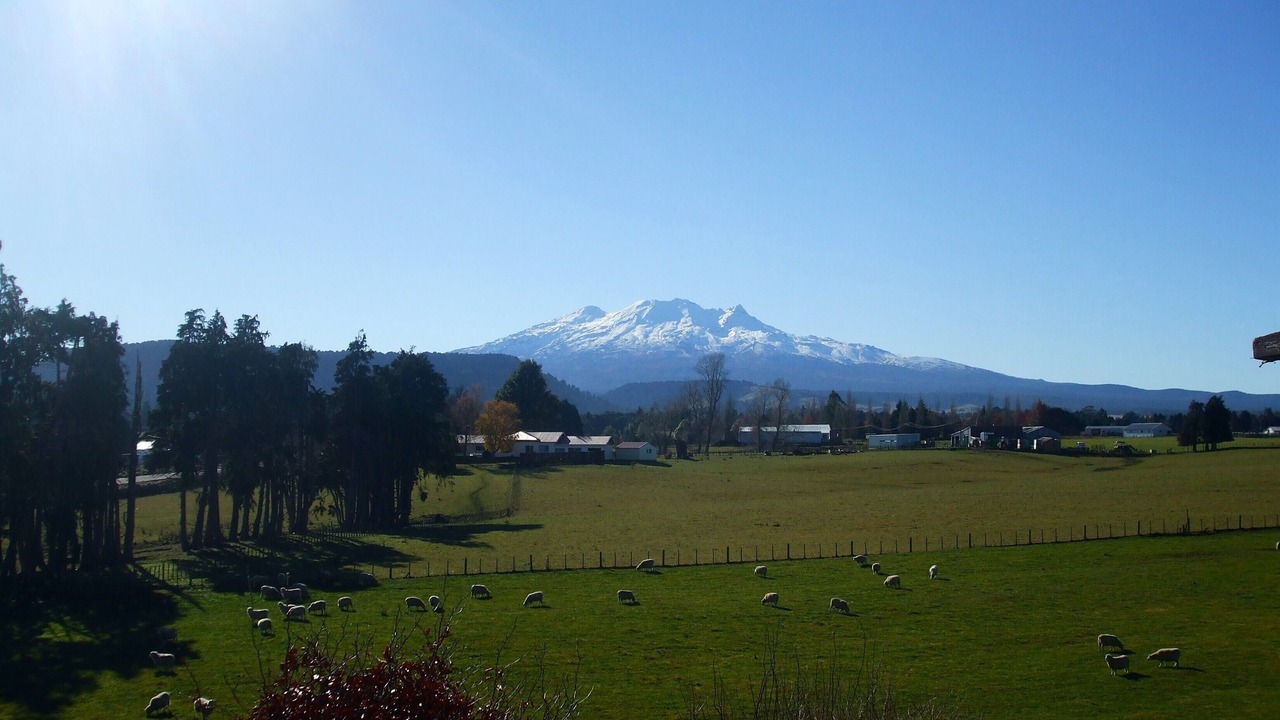 Photo of Outdoor in Ohakune