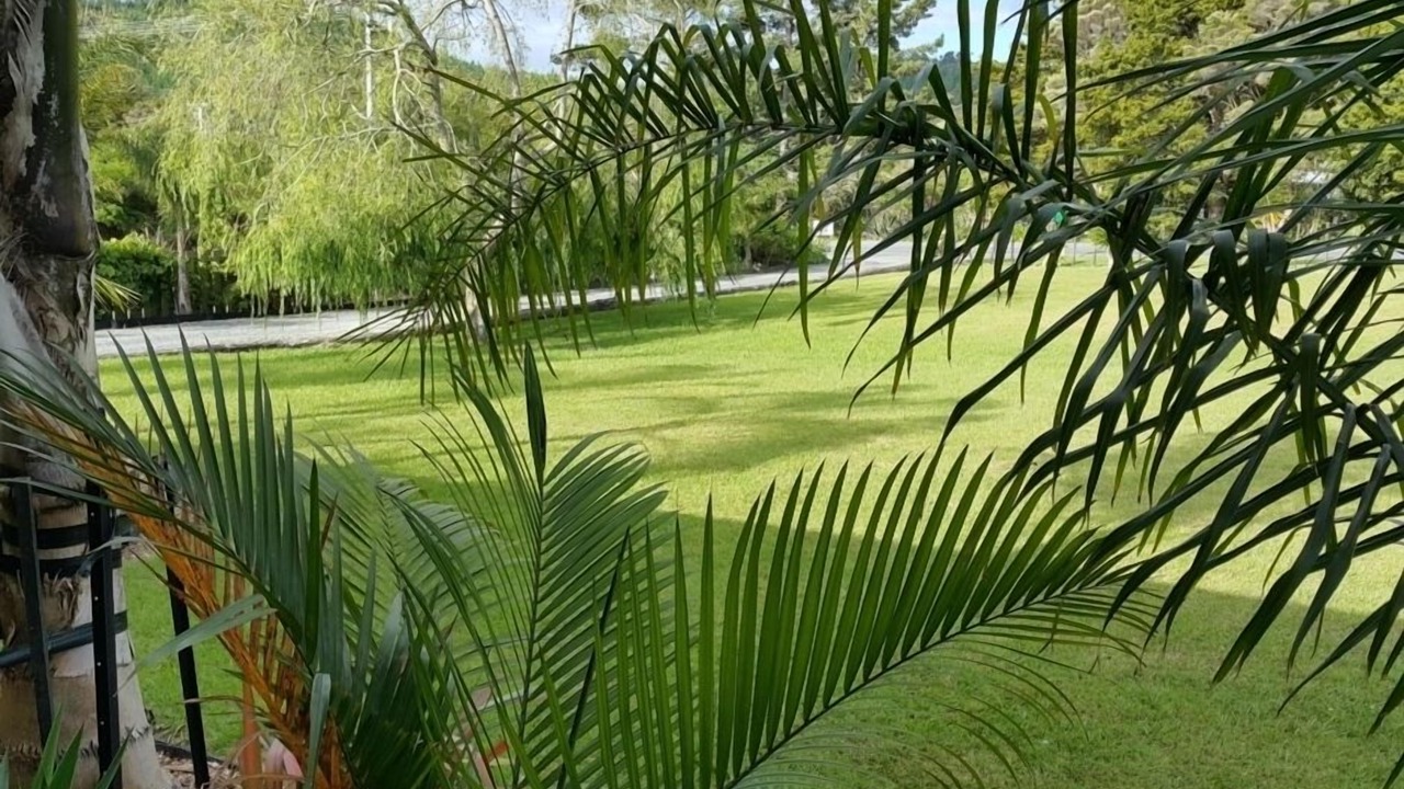 Photo of Others in Ngunguru