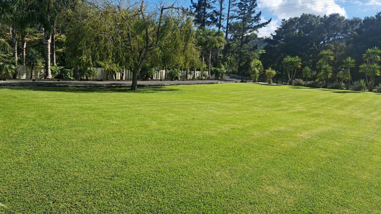 Photo of Outdoor in Ngunguru