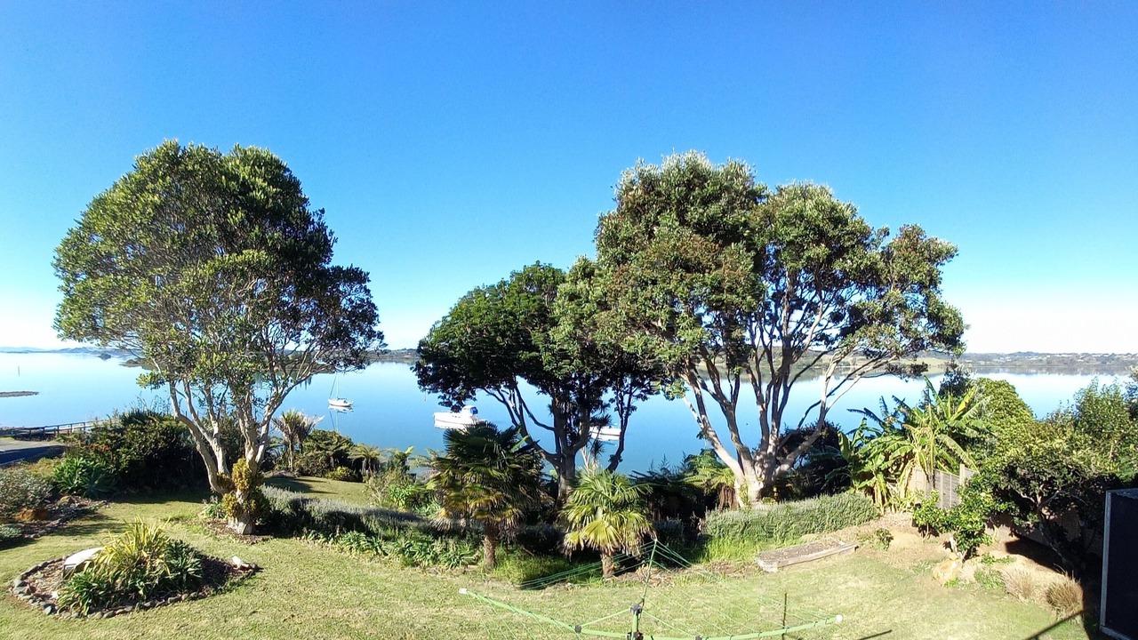 Photo of Others in Kerikeri
